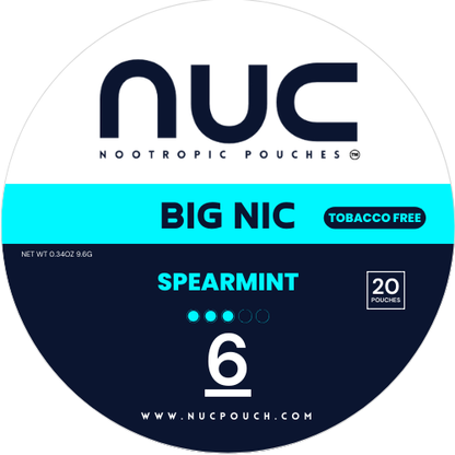 Nicotine Pouches 6mg (Tobacco-Free)