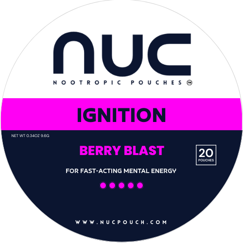 Ignition